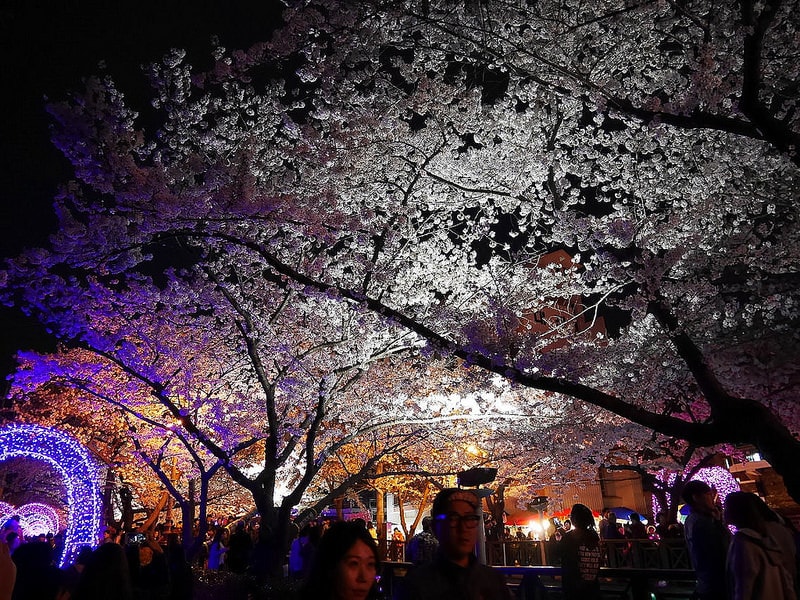 【逼先生專欄】《2018釜山自由行全攻略》搭地鐵玩遍釜山:行程建議、熱門景點、美食分享懶人包~ - 第158張圖 P1010010