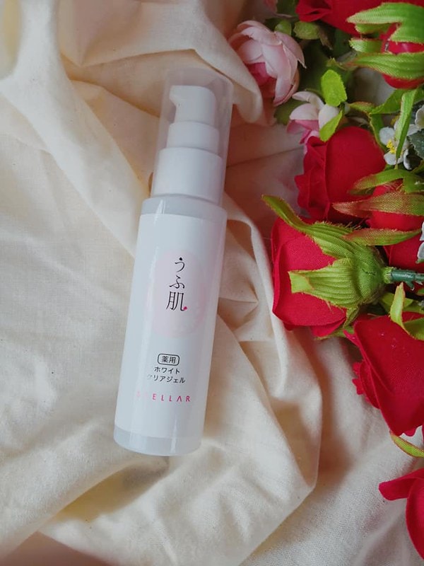 43206441_2300182340009569_6653517250517008384_n