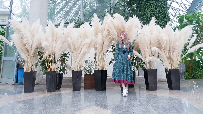 【旅行+穿搭】三月的濟州島旅行怎麼穿?6~13度還是要注意保暖的春日穿搭(上) - 第27張圖 P1120737