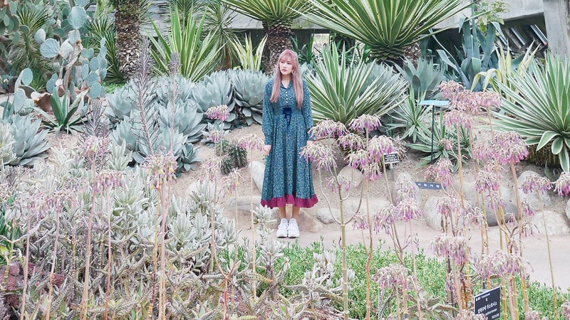 【旅行+穿搭】三月的濟州島旅行怎麼穿?6~13度還是要注意保暖的春日穿搭(上) - 第29張圖 P1120867