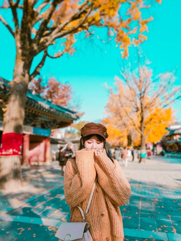 【19’首爾小旅行】KLOOK 全州一日遊。全州韓屋村&紅蔘Spa一日體驗(首爾出發) - 第30張圖 11459