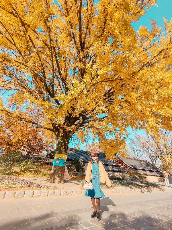 【19’首爾小旅行】KLOOK 全州一日遊。全州韓屋村&紅蔘Spa一日體驗(首爾出發) - 第31張圖 11461