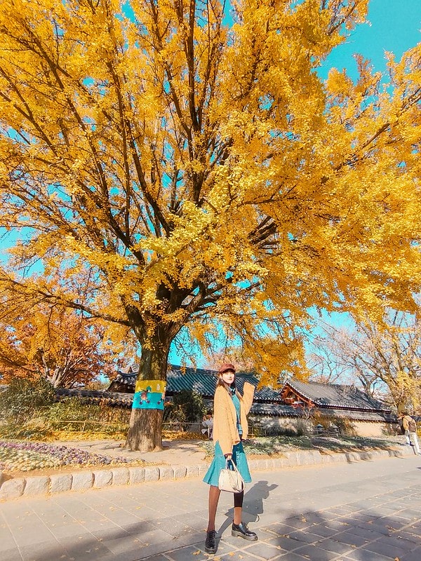 【19’首爾小旅行】KLOOK 全州一日遊。全州韓屋村&紅蔘Spa一日體驗(首爾出發) - 第32張圖 11464