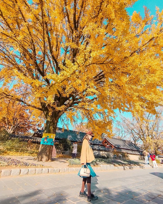 【19’首爾小旅行】KLOOK 全州一日遊。全州韓屋村&紅蔘Spa一日體驗(首爾出發) - 第33張圖 11462