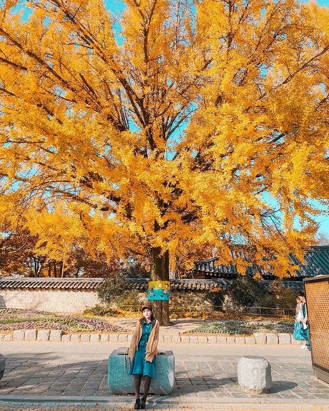 【19’首爾小旅行】KLOOK 全州一日遊。全州韓屋村&紅蔘Spa一日體驗(首爾出發) - 第34張圖 11463