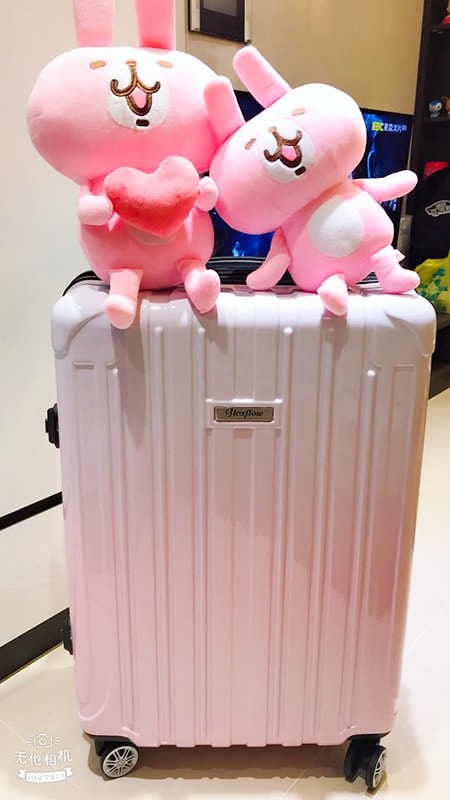 【長期團購】顏值超高行李箱品牌「FlexFlow」,輕量測重=國外掃貨好助手。限時下殺團購價 - 第19張圖 67694135_2796946676999797_1404997954162393088_n