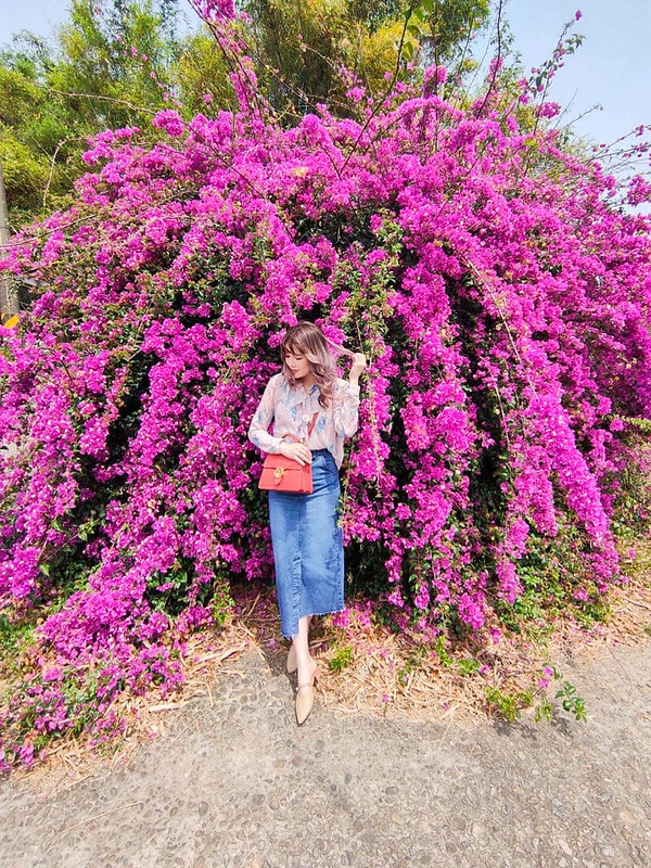 隨時隨地補充蔬菜，輕鬆打造日常健康飲食行動