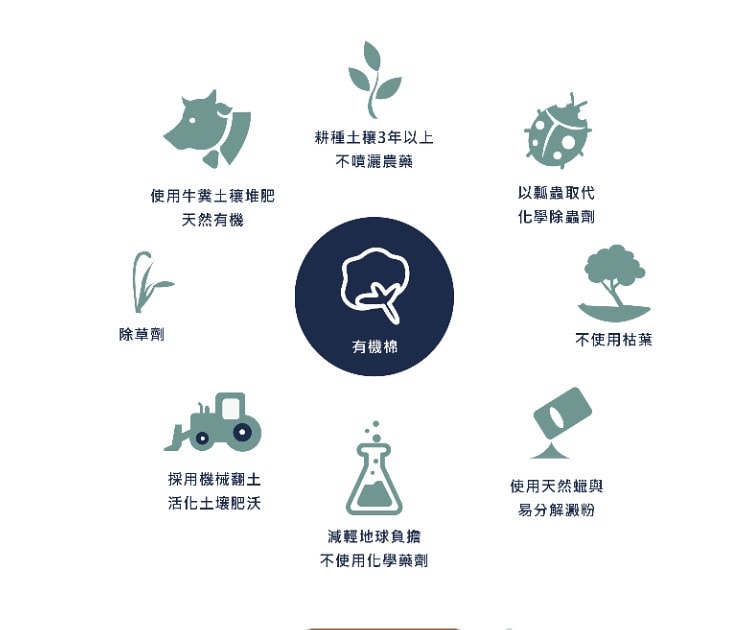 螢幕擷取畫面 2022-07-10 204850