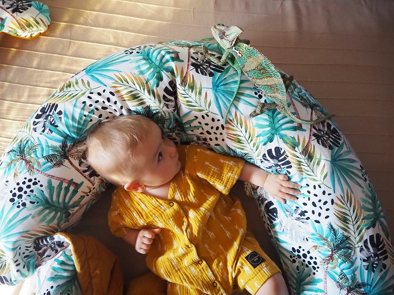 他網IG-U形-棕櫚風情 (4)