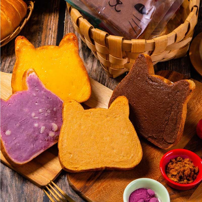 300015980_5732596556759145_6197776300637032767_n