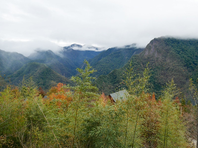 【國內輕旅行】鈦美旅行社 TM Travel規劃的新竹司馬庫斯露營車之旅。懶人露營旅遊好適合沒時間的媽媽族群! - 第47張圖 P1290233