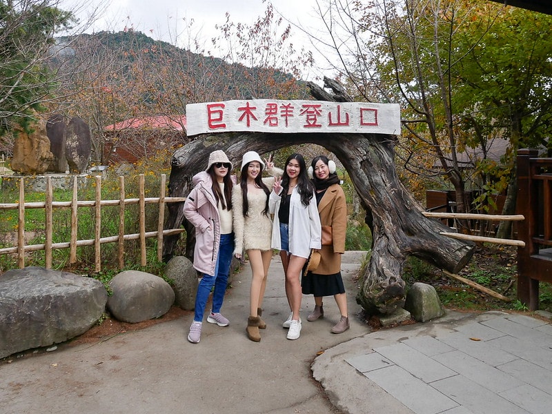 【國內輕旅行】鈦美旅行社 TM Travel規劃的新竹司馬庫斯露營車之旅。懶人露營旅遊好適合沒時間的媽媽族群! - 第64張圖 P1290225