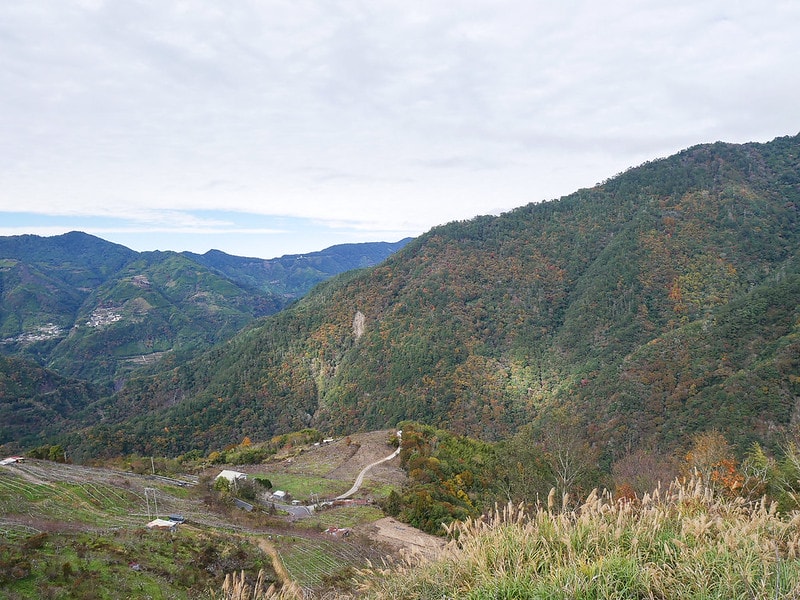 【國內輕旅行】鈦美旅行社 TM Travel規劃的新竹司馬庫斯露營車之旅。懶人露營旅遊好適合沒時間的媽媽族群! - 第66張圖 P1290216