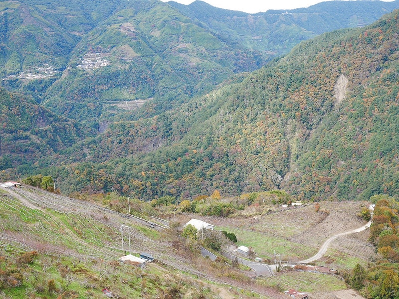 【國內輕旅行】鈦美旅行社 TM Travel規劃的新竹司馬庫斯露營車之旅。懶人露營旅遊好適合沒時間的媽媽族群! - 第67張圖 P1290215