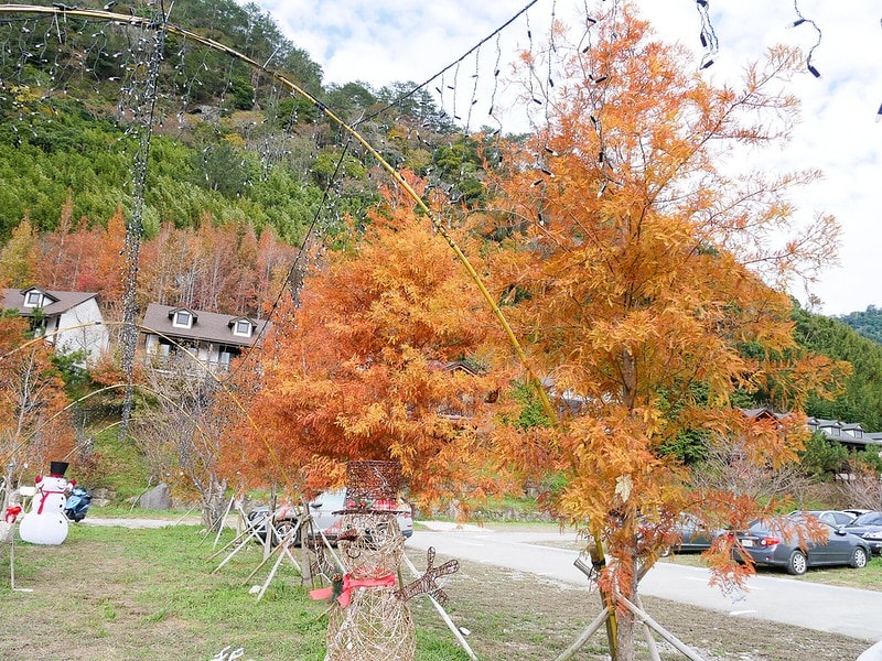 【國內輕旅行】鈦美旅行社 TM Travel規劃的新竹司馬庫斯露營車之旅。懶人露營旅遊好適合沒時間的媽媽族群! - 第68張圖 P1290222