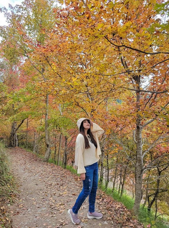 【國內輕旅行】鈦美旅行社 TM Travel規劃的新竹司馬庫斯露營車之旅。懶人露營旅遊好適合沒時間的媽媽族群! - 第72張圖 326818933_1425311188003201_8758444979229455655_n