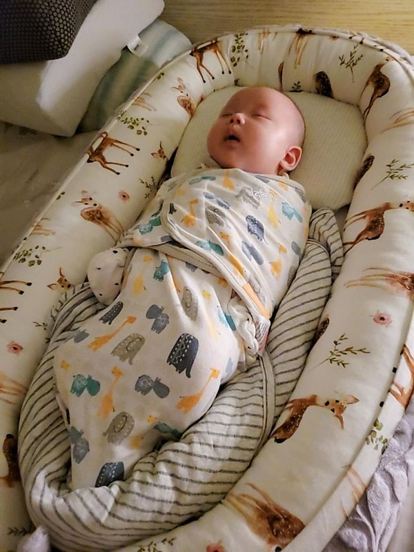 286493685_158502196736992_1968799966673208650_n