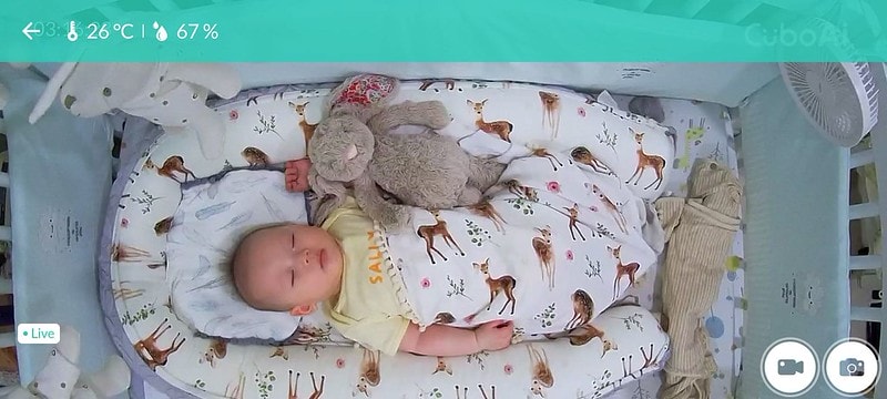 308566730_411770244448308_2725253452367176264_n