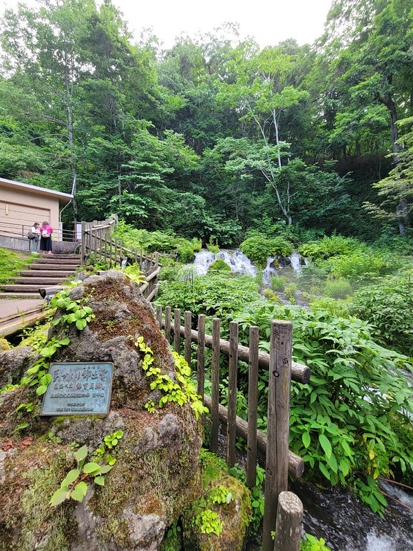 LINE_ALBUM_北海道Day 1~3_230826_39