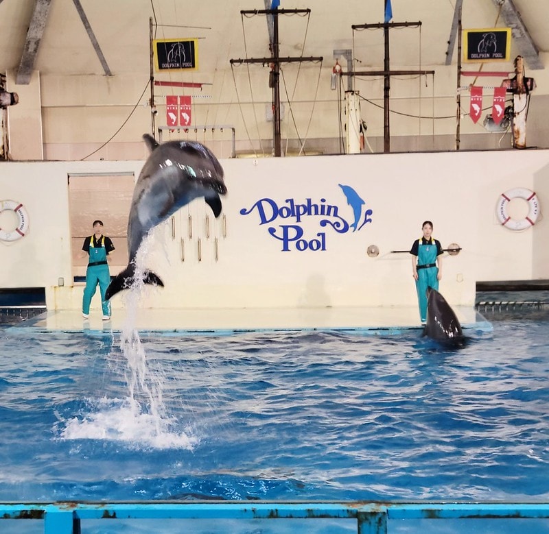 LINE_ALBUM_北海道Day 1~3_230826_25