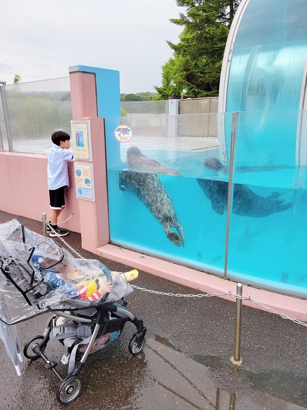 LINE_ALBUM_北海道Day 1~3_230826_24