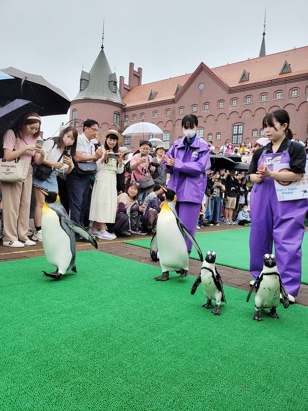 LINE_ALBUM_北海道Day 1~3_230826_26