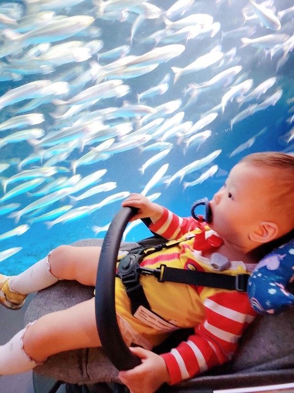 LINE_ALBUM_北海道Day 1~3_230826_22