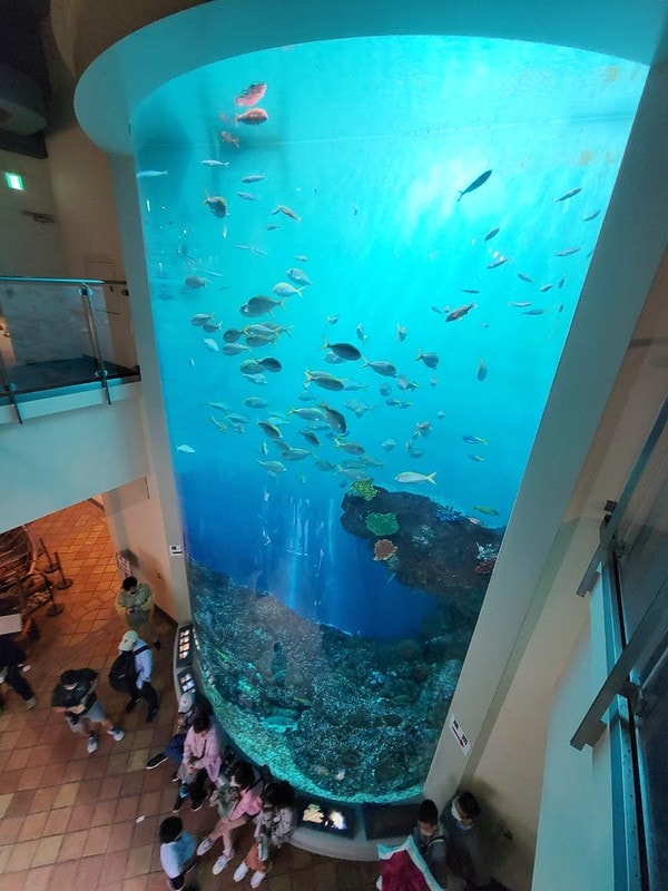 LINE_ALBUM_北海道Day 1~3_230826_19