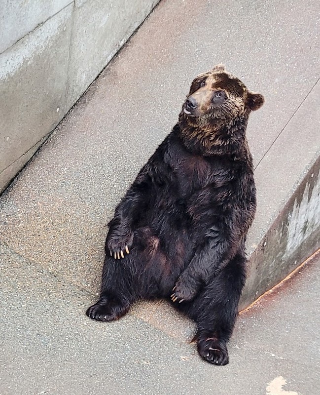 LINE_ALBUM_北海道Day 1~3_230826_14