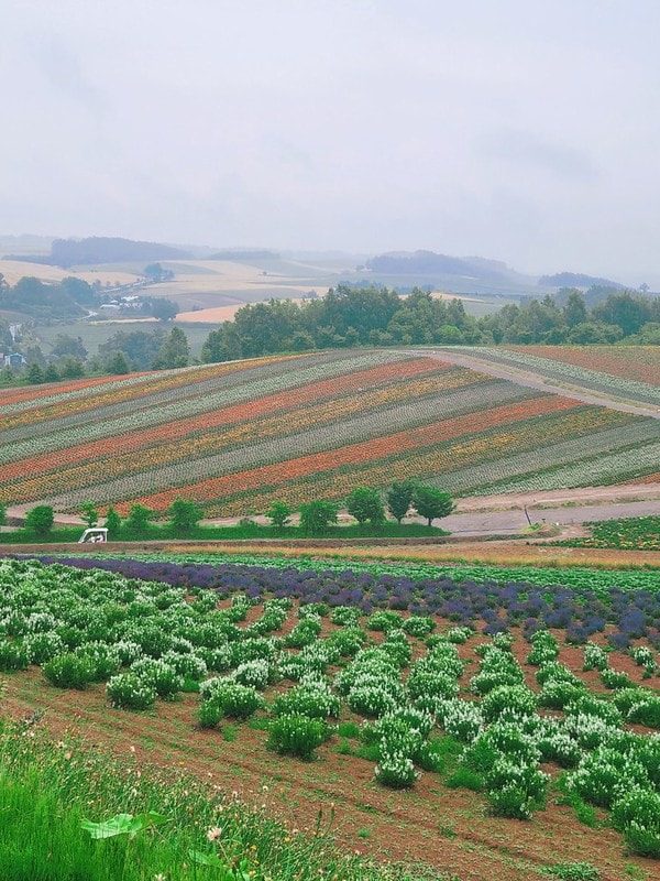 LINE_ALBUM_北海道Day 4~6_230826_79