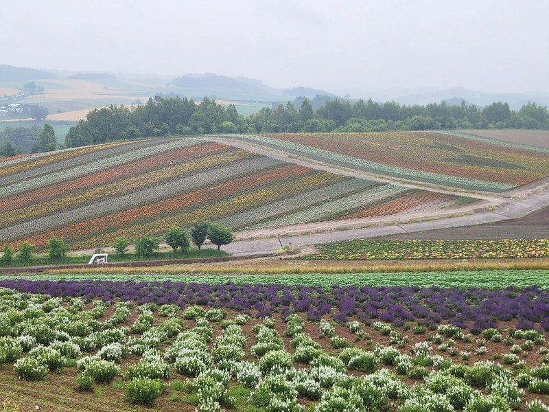 LINE_ALBUM_北海道Day 4~6_230826_66