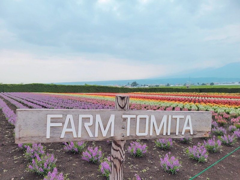 LINE_ALBUM_北海道Day 4~6_230826_63