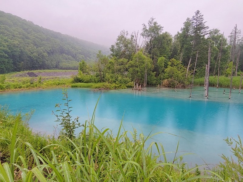 LINE_ALBUM_北海道Day 4~6_230826_59