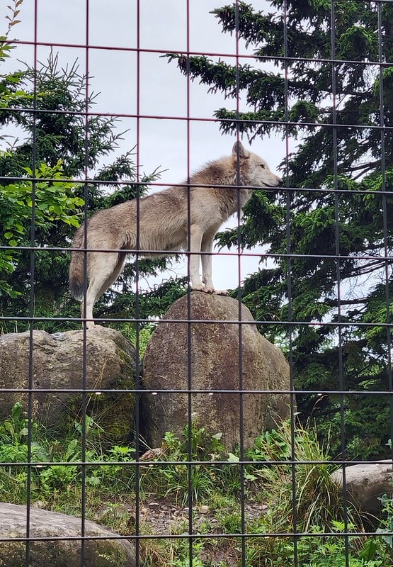 LINE_ALBUM_北海道Day 4~6_230826_50