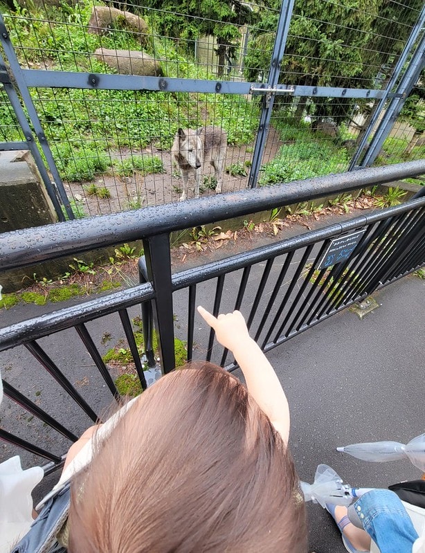 LINE_ALBUM_北海道Day 4~6_230826_49