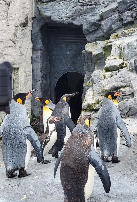 LINE_ALBUM_北海道Day 4~6_230826_48