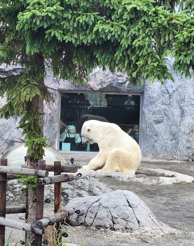 LINE_ALBUM_北海道Day 4~6_230826_47