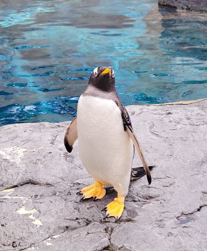 LINE_ALBUM_北海道Day 4~6_230826_46