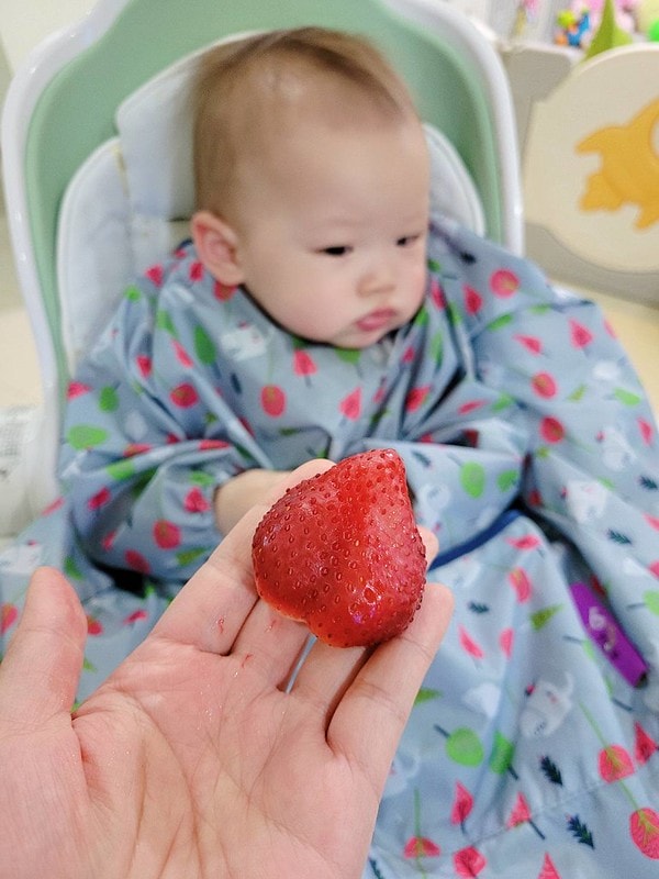 【育兒】寶寶吃飯好物分享🍴英國Tidy TOT防髒吸盤圍兜、土耳其minikoioi矽膠吸盤餐具+學習水杯、美國lil Sidekick固齒防掉帶 - 第44張圖 1111178