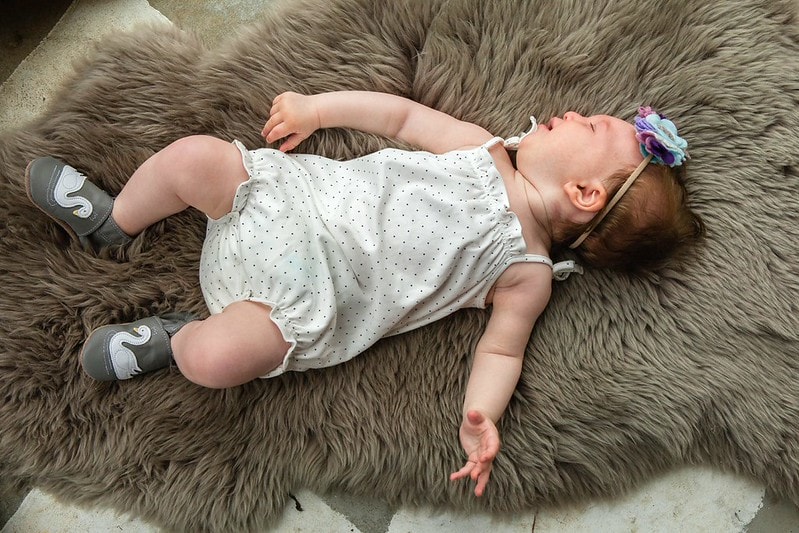 50946224_2174972369226821_3228617759256477696_n