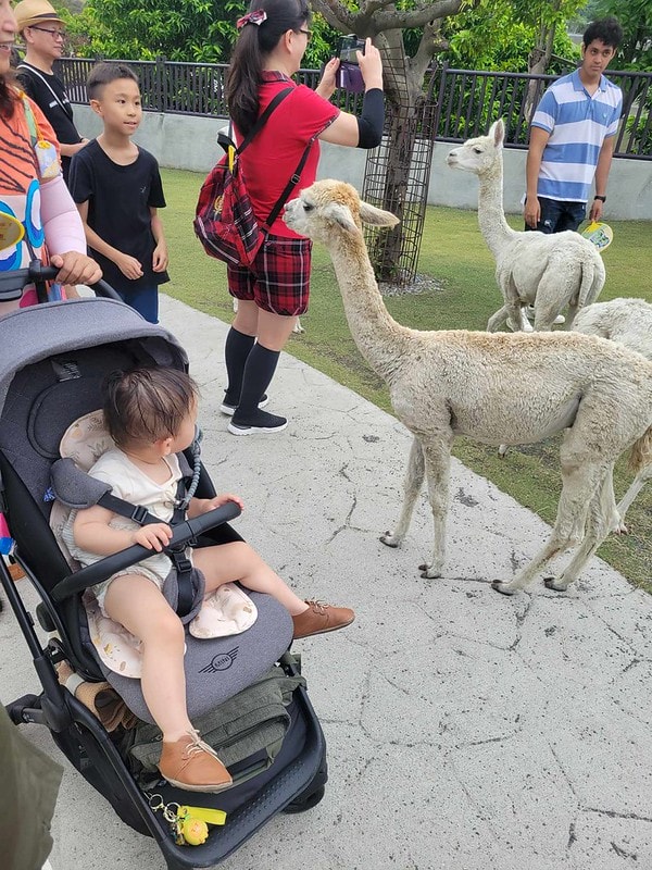 371473156_994344228524933_5774609234133008920_n