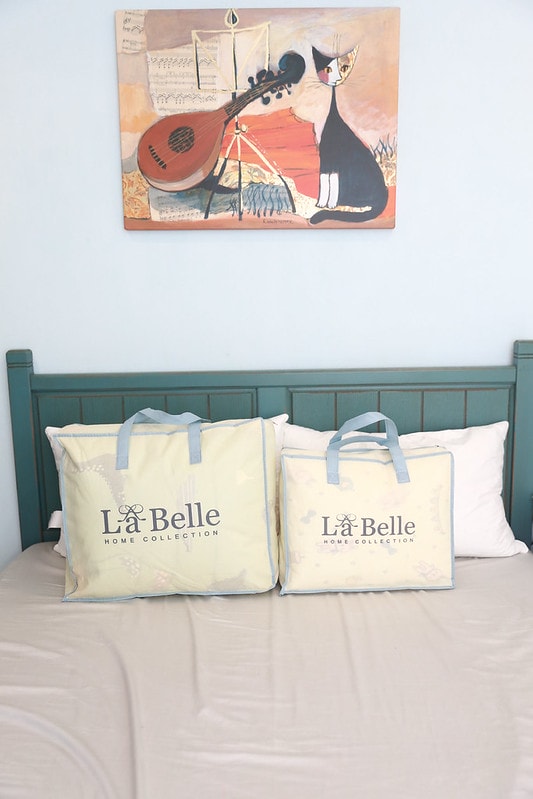 【生活】熱賣好口碑Great Living格蕾寢飾。專櫃正品床寢/大人暖被/兒童暖被/天絲床包組 冬季限時團 - 第7張圖 IMG_1453